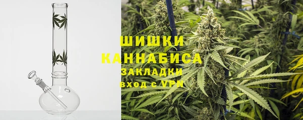 ПСИЛОЦИБИНОВЫЕ ГРИБЫ Баксан