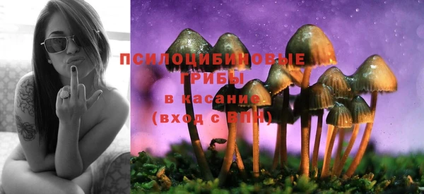 ПСИЛОЦИБИНОВЫЕ ГРИБЫ Баксан
