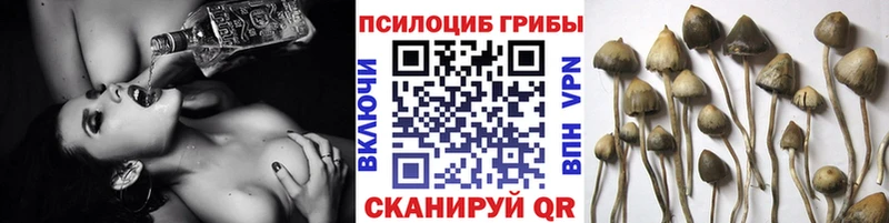 Галлюциногенные грибы прущие грибы  Пересвет 